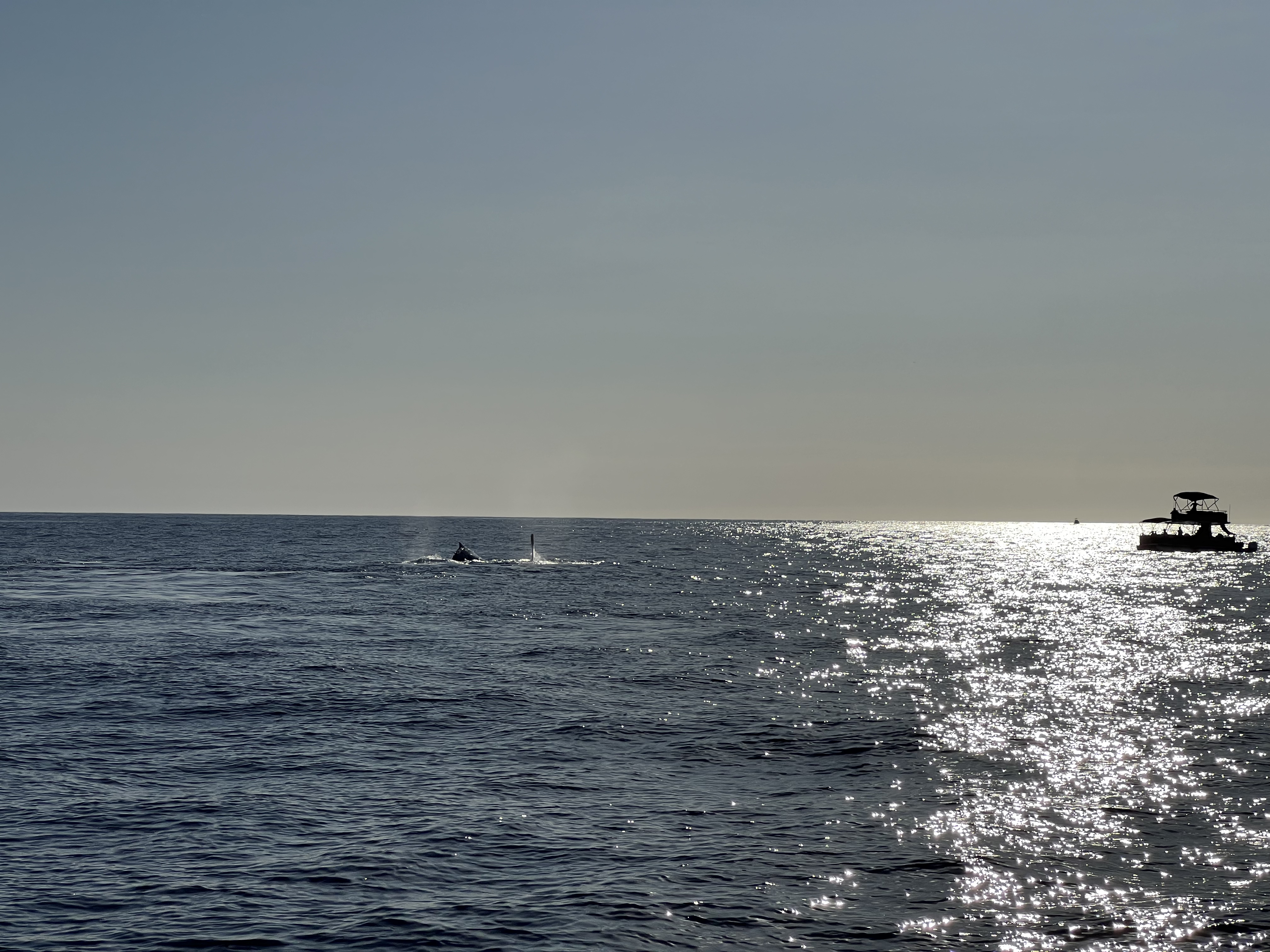 ./2024/13 - Cabo/IMG_4695.jpg